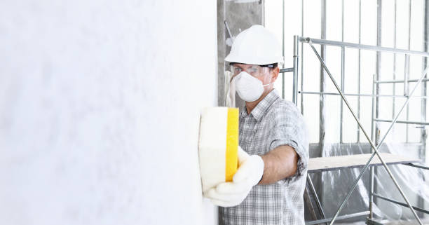 Best Mold Removal for HVAC Installations in Streamwood, IL